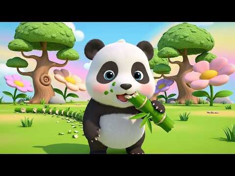 Baby Panda Nibbles Munch Munch Munch | Cute Animal Songs & Counting for Kids