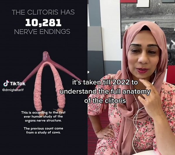 Understanding Clitoris Anatomy | Women's Health and Science Facts