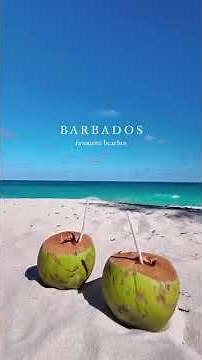 I Found The 2 BEST Beaches in Barbados! 🏝️ (You've Never Seen Anything Like This!)