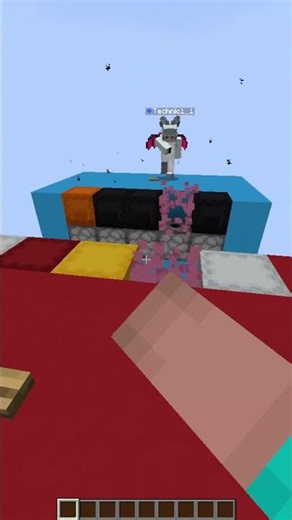 Who will win this Minecraft Color Match?