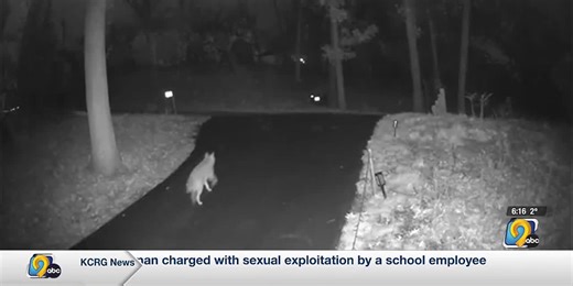 Linn County resident reports seeing more coyotes in the last few years
