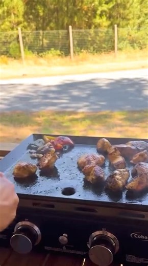 549K views · 496 reactions | Il reste encore des dispos BBQ ici :  Camping Domaine La Yole  Camping Mayotte Vacances  Camping La Croix du Vieux Pont | Homair Vacances | Facebook