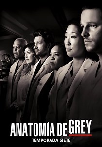 Anatomía de Grey temporada 7 - Ver episodios online