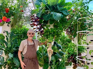 What grows well on a Tower Garden? | Agrotonomy Tower Farms