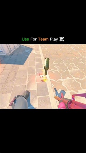Use For TeamPlay ☠️. . @angela._cs2 #cs2 #counterstrike2 #cs2clips #csgomoments #cs2highlights