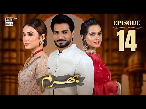 Bharam Episode 14 | Hina Tariq | Rabya Kulsoom | Omer Shahzad | 16 Dec 2024 (Eng Sub) | ARY Digital