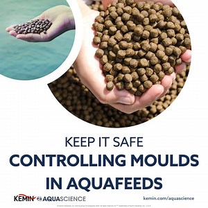 #KemINSIGHT AquaCURB™ LQ contains organic acids and surface-active agents to combat mold contamination, improve feed mill efficiency, increase pellet durability and prolong the shelf life of aquafeed. It's a cost-effective solution to control mold in aquafeed, enabling better water penetration and absorption in feed particles, leading to improved moisture retention and distribution in aquafeed. Learn more about AquaCURB™ LQ here: https://www.kemin.com/na/en-us/products/aquacurb-lq #AquaCURB #Aqu