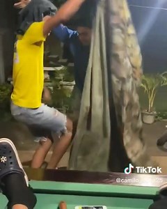 463K views · 16K reactions | Somos una cosa bien Bárbara, claro que si藍藍藍藍 pinolero.com Créditos @camilo_lopez25 #pinolero #nicaragua #fypシ #history #nicaenmiami #nicaenusa #viral #nicaraguan #tuani #nica505 #parati #nicanews #instagram #facebookpost #reelsinstagram #tendência | pinolero.com | Facebook