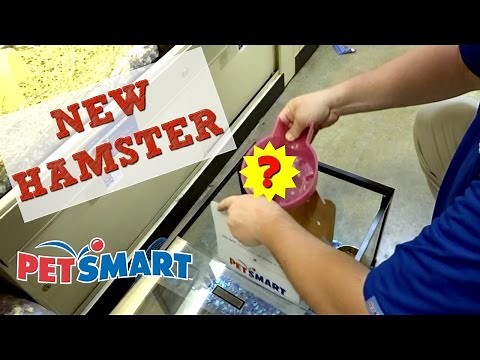 GETTING MY NEW HAMSTER AT PETSMART