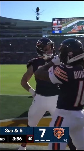 Chicago Bears Highlights Week 12 #nfl #chicagobears #bearsfootball #chicago #footballhighlights