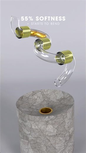 Extreme Softness Test! 0% vs 100% Soft Cylinder Physics Simulation