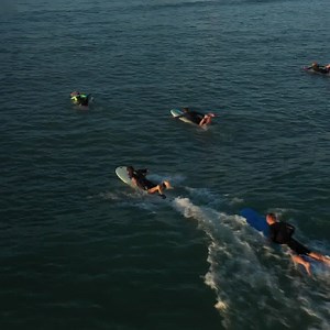 13K views · 146 reactions | Today, Boost Surfing, creator of the...