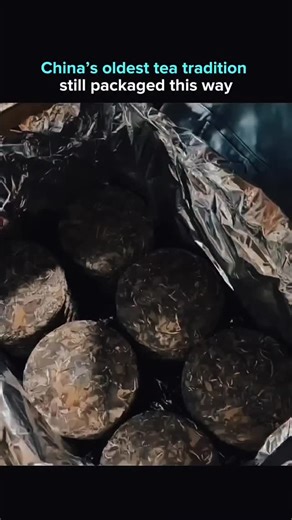 Explain on Instagram: "Compressed tea discs might look traditional, but their preservation method mirrors modern material science. For centuries, producers in Fujian have pressed dried leaves into dense, transportable wheels wrapped in paper to extend shelf life, stabilize flavor, and enable long-distance trade. The same principles now influence food storage, packaging design, and long-term material preservation across multiple industries. Understanding how ancient techniques optimize aging, air