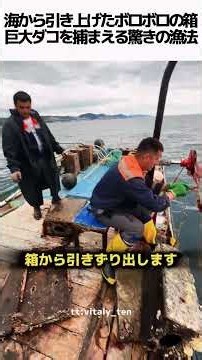 99%が知らない巨大ダコを捕まえる驚きの漁法#タコ漁 #巨大生物 #漁師 #伝統漁法 #雑学 #裏技 #海の生き物 #驚きの事実 #サバイバル #知識