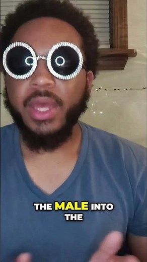 The Natural Progression: Understanding Species Reproduction