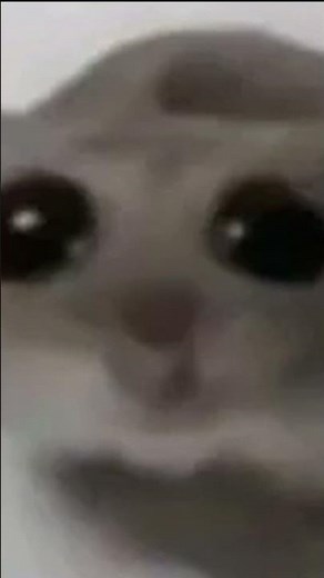 How the sad hamster violin meme breaks hearts