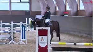 ▶️watch.clipmyhorse.tv/RELIVE-UK-USA 🔴 Stallion Thursday has a look at the up and coming stallions... Join our RELIVE UK & USA for the Stallion Performance Test today 🤩 There are a lot of 4 yo future champions to watch. 🐎👀 Enjoy this lovely stallion by Comme il faut NRW x Caretino🥰 What a nice mover and jumper! 🥰🥰 Tune in now or later today! 💯 | ClipMyHorse.TV Great Britain