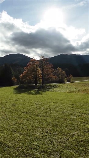 FPV adventure: autumn colours03 - DJI Avata 2 #dji #fpv #avata2