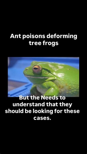Beethecure.com on Instagram: "Thanks @channel7queensland pyriproxyfen use Alarming alert for Queensland wildlife: The National Fire Ant Eradication Program is spreading Distance Plus poison—loaded with the hormone-disrupting chemical pyriproxyfen—across vast areas of south-east Queensland via aerial drops, drones, and ground teams. This toxic poison is linked to developmental deformities in amphibians, disrupting tadpole metamorphosis and causing malformations like extra or missing limbs. With f