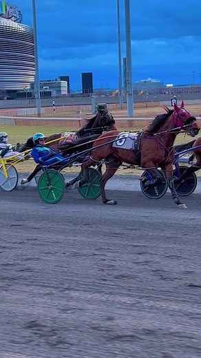 Meadowlands Racing 🤩 #playbigm #harnessracing #meadowlandsracing #fyp #jbracing @jennbongiorno