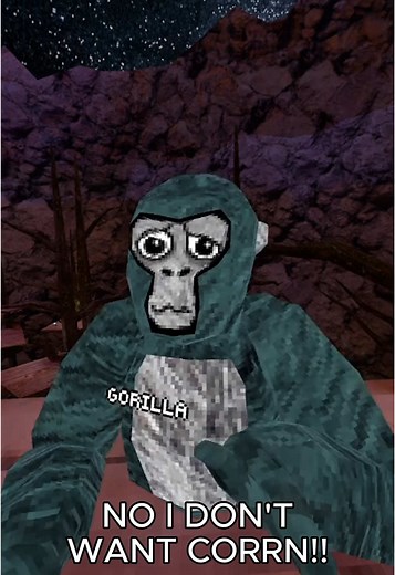 Oops 😜 #gorillatag #gtag #vr