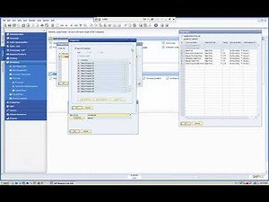 DEFINING SPECIAL PRICES IN SAP BUSINESS ONE