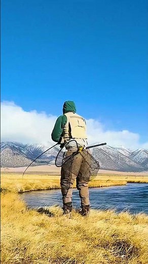 This is a WORLD FAMOUS Trout Fishing River! #fishing