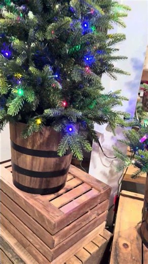 Raz 4' or 5' Pre-Lit Norway Spruce Christmas Tree in Barrel Pot