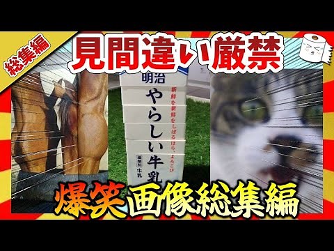 [🔥 Hilarious: Compilation] If you see it wrong, go to bed! A compilation of funny images! Gal-cha...