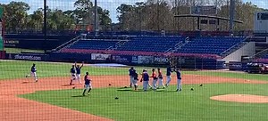 New York Mets Seen Practicing How To Celebrate Winning The World Series In Spring Training (VIDEO)