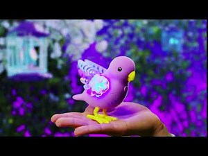 Little Live Pets | Light Up Birds S8 | Bumper 2