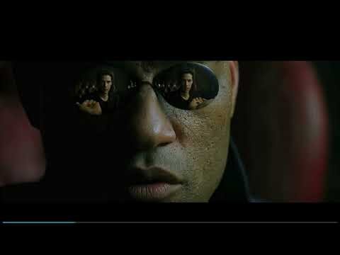 Whole Film Analysis: The Matrix (1999)