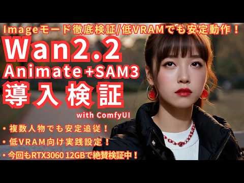 Wan2.2_Animate_+SAM3_ installation verification! Thorough verification of Image mode / Stable ope...