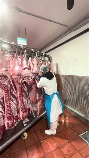 Break down pork half carcass