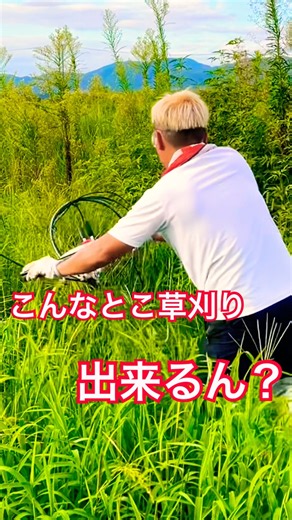 農業女子 真夏の草刈り作業 #kubota #現代農業 #farming #草刈り #草刈機 #農業 #農家 #農業女子