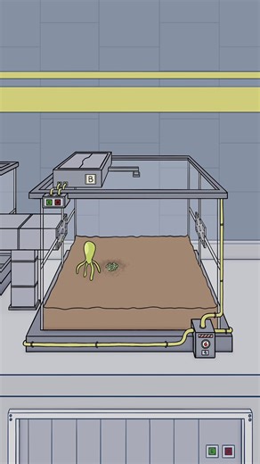 Day 11 of Observation: Animation Insights