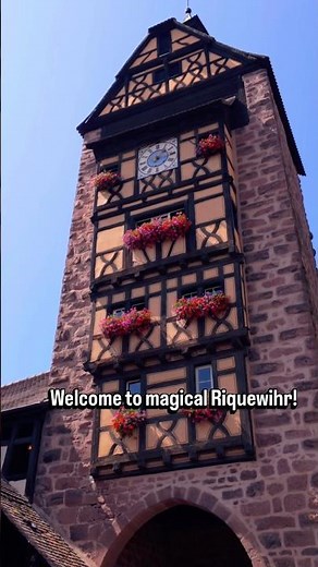 Riquewihr France 🇫🇷 | The Most Magical Medieval Village in Alsace #shorts