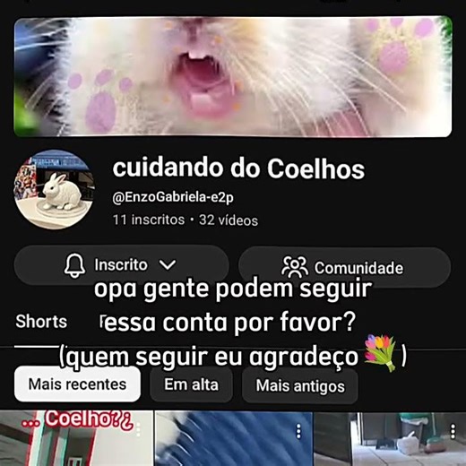 n custa nada😕 ‪@EnzoGabriela-e2p‬ #pets