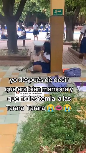 Understanding the Tarara Trend: Exploring Meaning and Significance