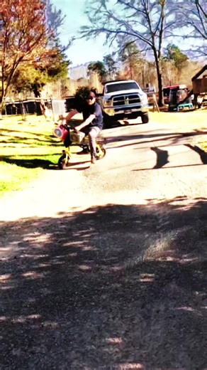 Beating the block down #turtlebox