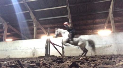 @Frankie can’t believe you gave me the confidence to jump 90 !!!! So blessed to have you and mojo in my life ❤️ #fyp #horses #jump #equine