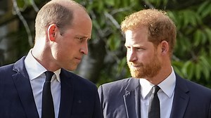 Wedding 'exposed Harry & William's rift...encounter would've been excruciating'