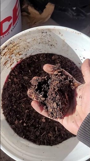 shredded paper in my compost results