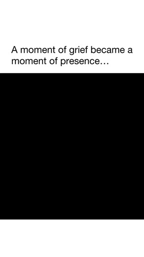 Stonks Trading Society 🚀 (@stonks.trading.society)’s videos with original sound - Stonks Trading Society 🚀