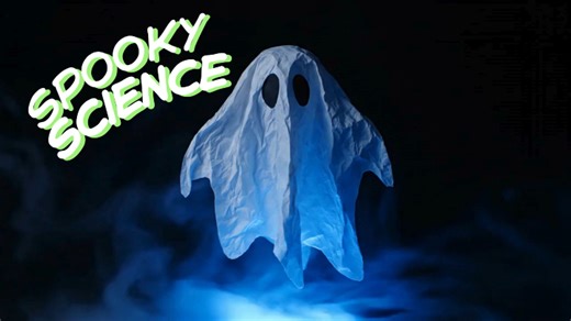 Ready to give your Halloween a magnetic twist? Try our levitating ghost experiment—it’s perfect for classroom fun or as a chilling addition to your home décor on trick-or-treat night! 👻 Learn the trick behind this haunting science experiment on our blog: http://bit.ly/4n455Wd #Halloween #SpookySeason #STEM #STEAM #STEMeducation #ClassroomFun #HalloweenDecorations #Decorating #Science #ClassroomExperienment #HomeSchoolScience #Magnets #FunwithMagnets #NeodymiumMagnets #Ghost #Spooky #ApexMagnets