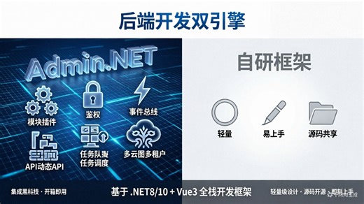 .Net框架快速上手(Admin.Net、自研框架)