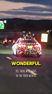 36K views · 680 reactions | Have you ever seen this before? #carlights #christmaslights #holiday #fun #goats | Steinmetz Family Farm | Facebook