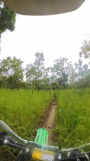 combat wombat on TikTok