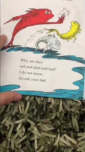 Dr. Seuss “One Fish Two Fish” Rap Book