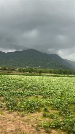 Exploring nature #Kerala #trip #tourism #uae #saudiarabia #malayalam #tamil